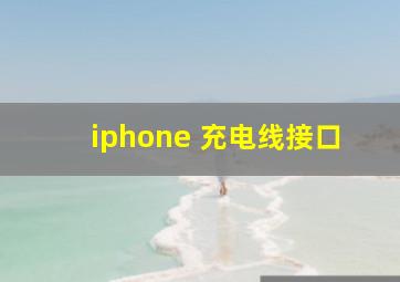 iphone 充电线接口